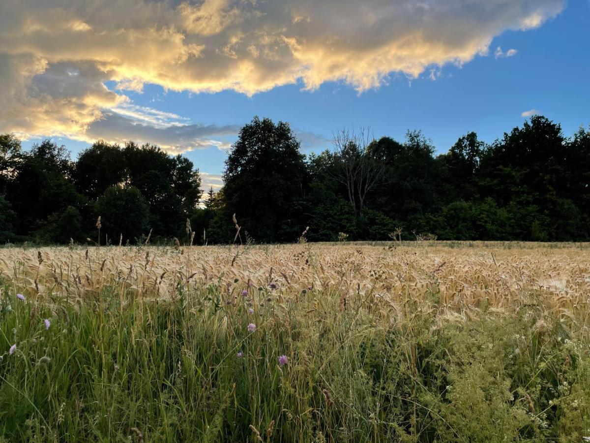 Sjoenaera Stuga Norrtälje Buitenkant foto