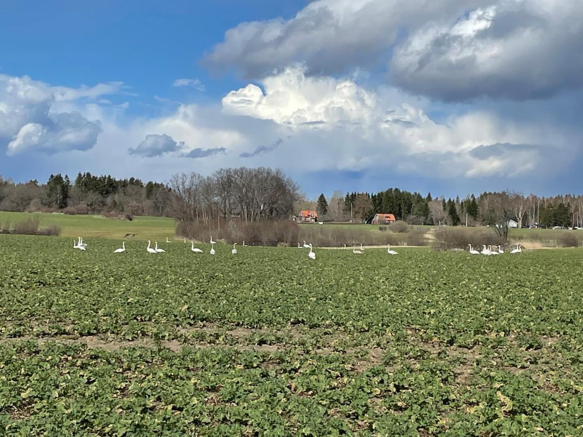 Sjoenaera Stuga Norrtälje Buitenkant foto